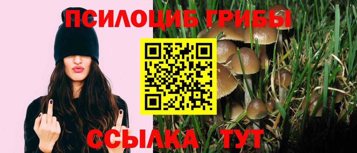 Вышний Волочёк  Псилоцибиновые грибы Cubensis  Псилоцибиновые грибы мицелий  Вход с VPN 